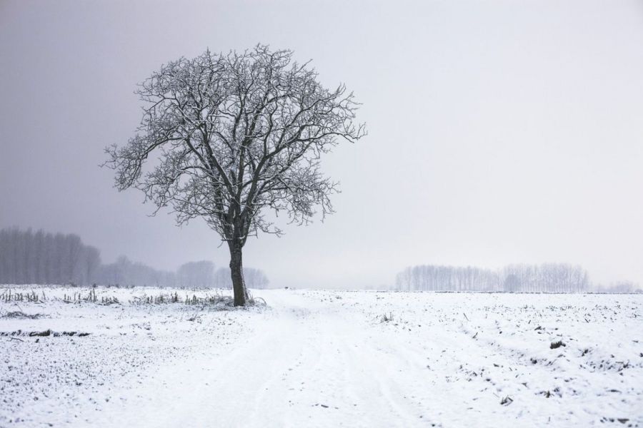 Resultado de imagem para frio