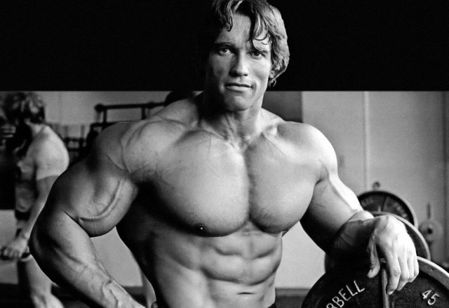 Download Livro Hipertrofia Muscular Rodrigo Download Livro Hipertrofia Muscular Rodrigo