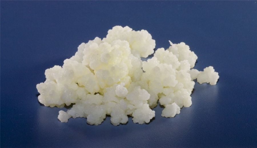 suplementos para dieta paleo aprovados pelo mark sisson