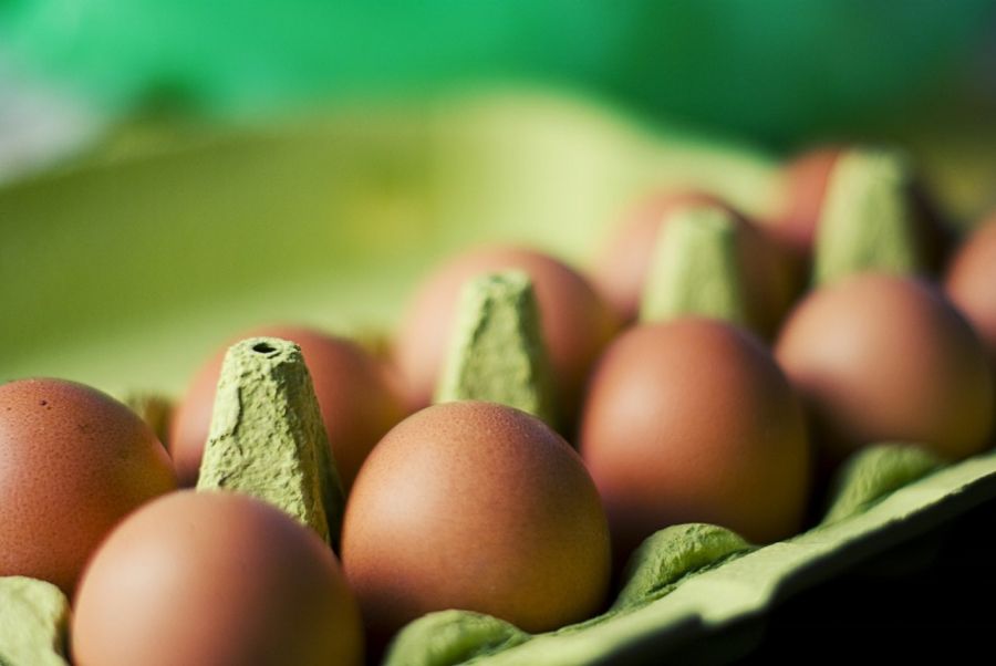dieta cetogênica: variações, lista de alimentos permitidos e proibidos e cardápio para dieta do cetônico