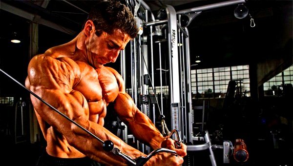 whey, isolado, concentrado, hidrolisado, hipertrofia, emagrecer