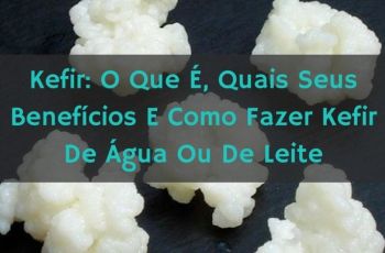 Kefir: O Que É, Quais Seus Benefícios E Como Fazer Kefir De Água Ou De Leite
