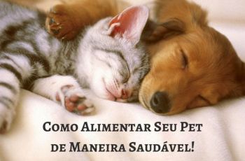 Alimentação Saudável Para Seu Pet: Como Alimentar Seu Cão Ou Gato Com Comida De Verdade Para Uma Vida Mais Longa E Feliz