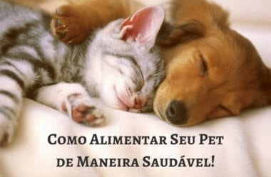 Alimentação Saudável Para Seu Pet: Como Alimentar Seu Cão Ou Gato Com Comida De Verdade Para Uma Vida Mais Longa E Feliz