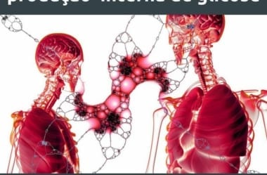Gliconeogênese: O Que É E Qual Seu Papel Na Dieta Low-Carb