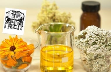 As Melhores E As Piores Gorduras Para Cozinhar E Para Sua Saúde — Descubra Quais São Elas
