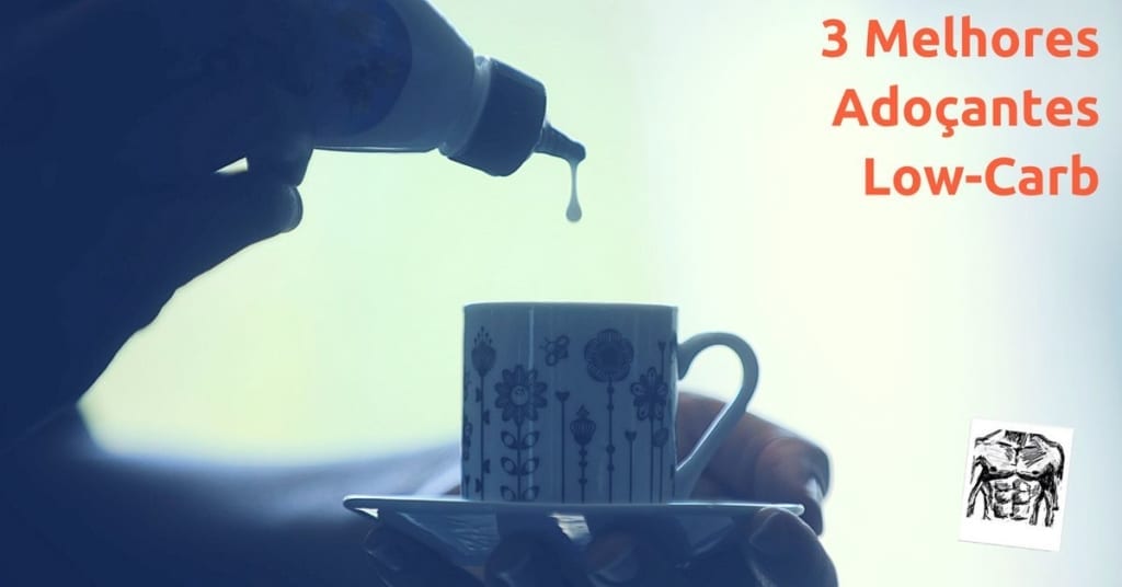 Eritritol, Xilitol E Stevia Os 3 Melhores Adoçantes Para A Dieta LowCarb