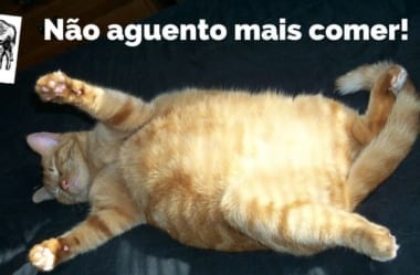 Importância Da Saciedade E Como Emagrecer Sem Passar Fome Se Mantendo Saciado Com A Dieta Low-Carb