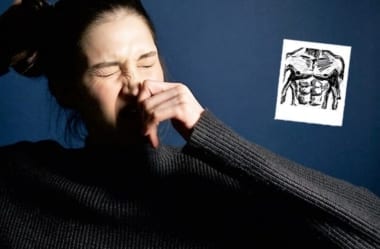 Rinite E Sinusite: Dicas De Alimentação E De Estilo De Vida Para Melhorar Problemas Respiratórios