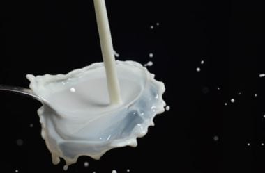 Leite É Low-Carb? Leite E Derivados Nas Dietas Baixas Em Carboidratos