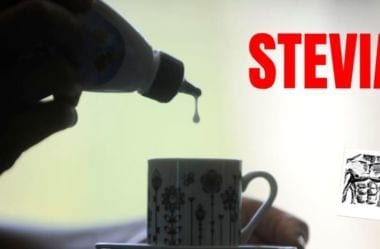 Stevia – O Que É, Benefícios, E Onde Comprar O Adoçante Estévia