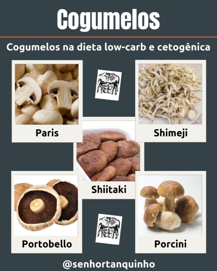 Lista dos principais tipos de cogumelos low-carb liberados na dieta low-carb e cetogênica