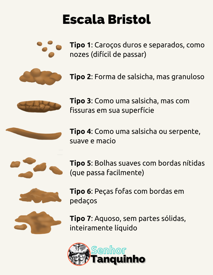 Escala de Bristol para classificação de fezes. Do tipo 1: fezes duras e separadas como nozes; ao tipo 7: diarreia.